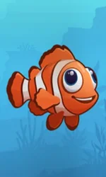 Fish Road